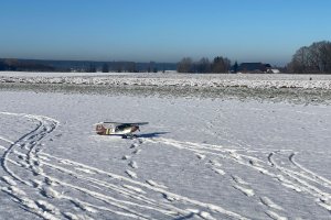 IMG-20241228-WA0004